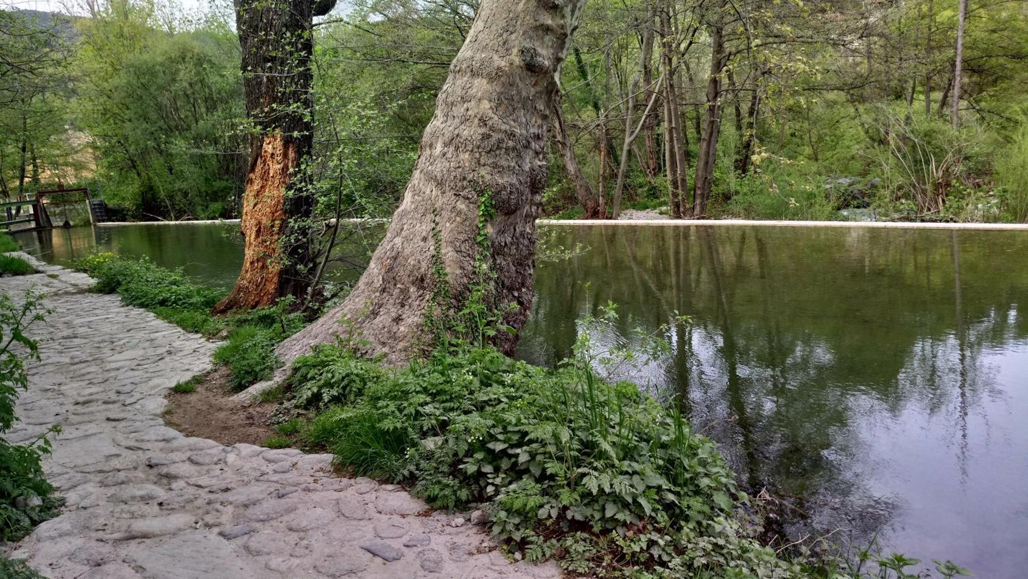 Le Moulin Aux Chandelles 2, Vacances & W-E, Vues Riviere, Montagne & Ville, Tout Confort Deconnecte, Eclairage Bougies, Connexions A 200M Au Centre Le Vigan Gite Les Amoureux De L'Arre, Randonnee Chemin De Saint-Guilhem-Le-Desert, Lire Profil Avant R Exterior foto